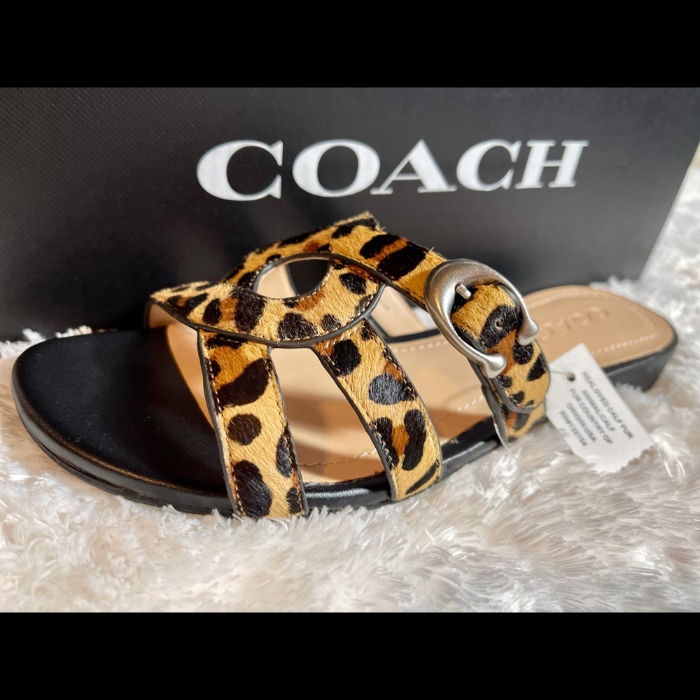Coach
